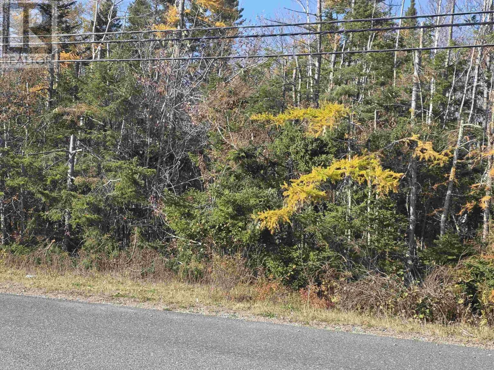 Hillside Road