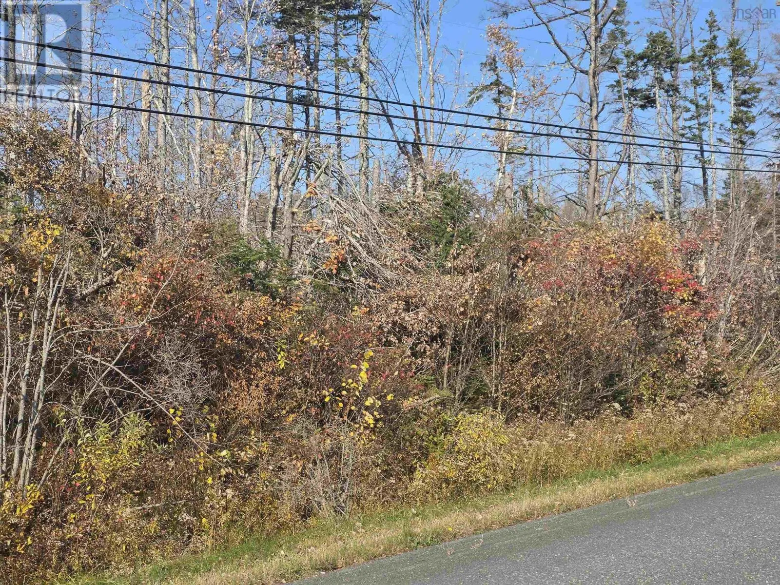 Hillside Road