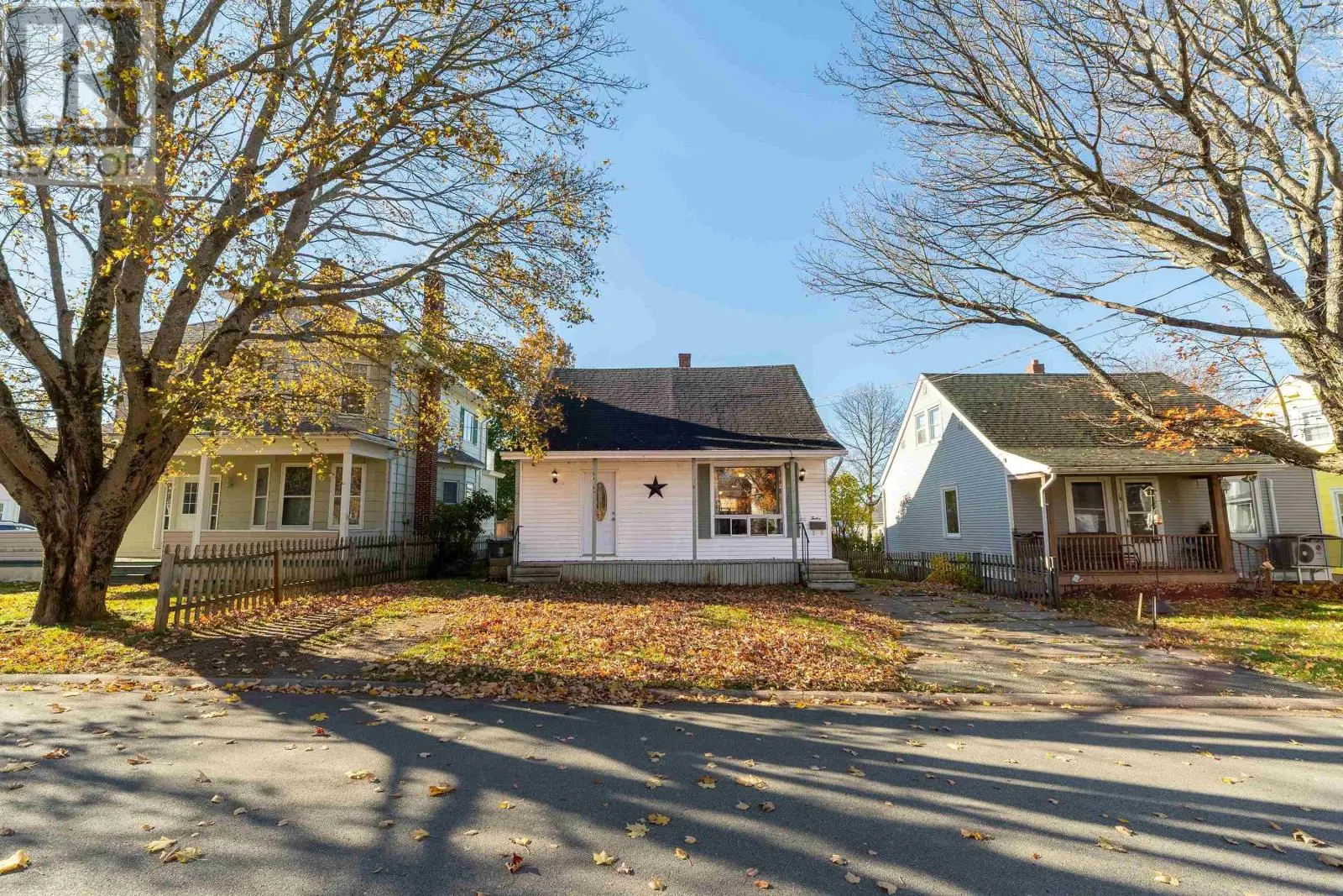 12 Haliburton Street