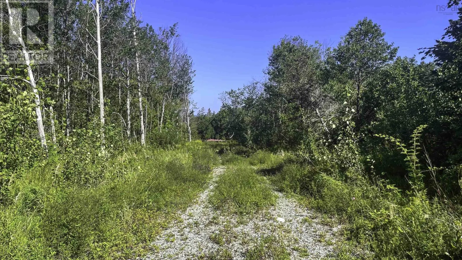 Fort Point Road