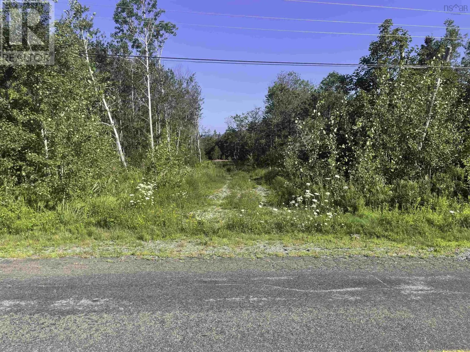 Fort Point Road