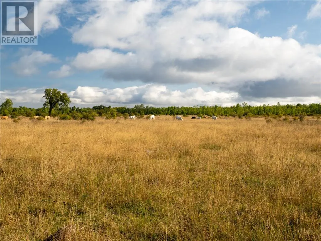 NA Ten Mile Point Road S