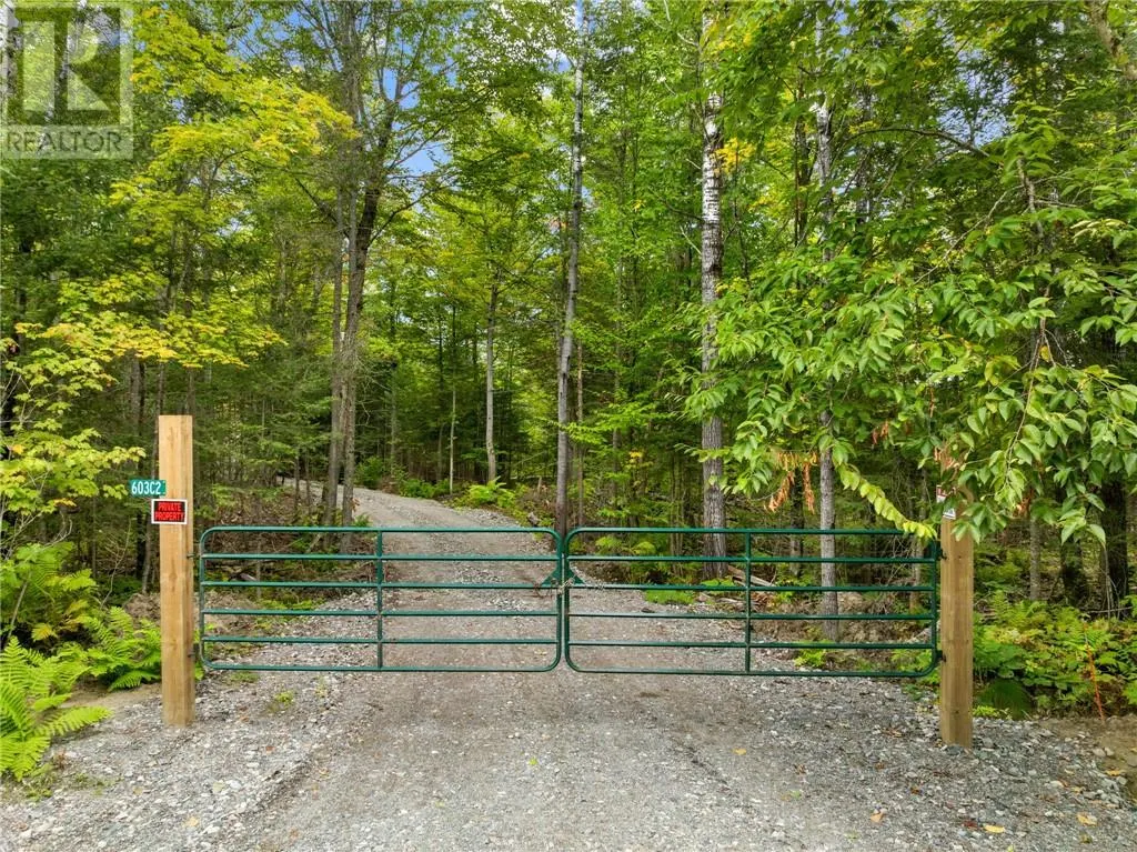 603 C2 West Branch Rd
