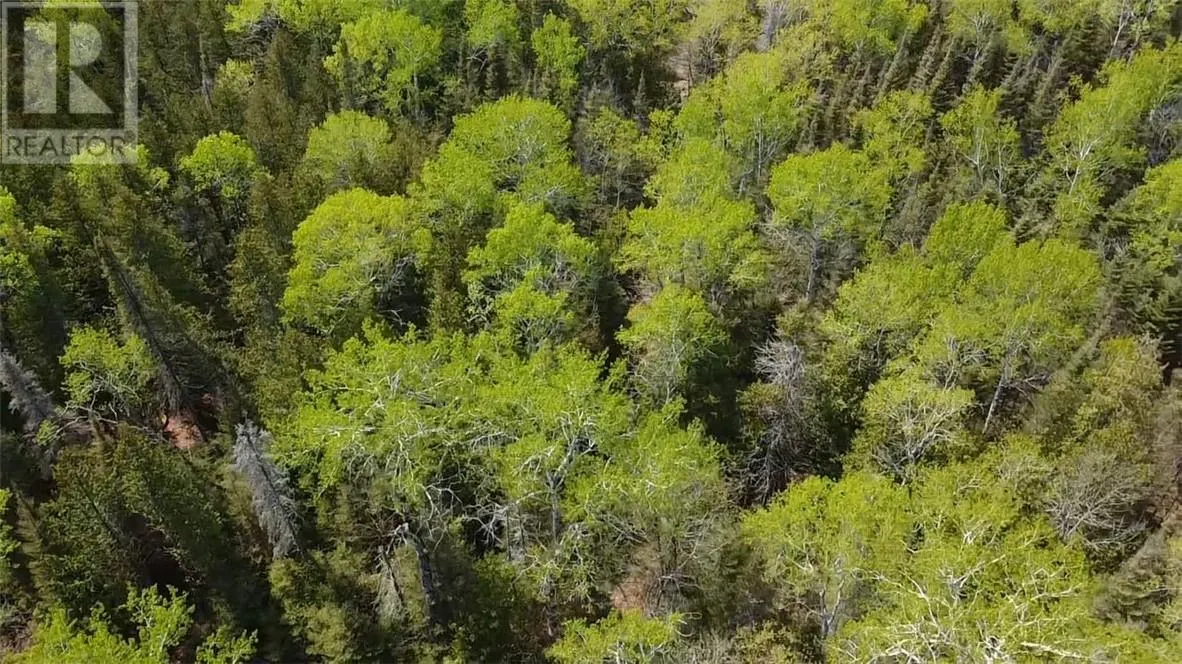 Lot 49 Sandy Point Road