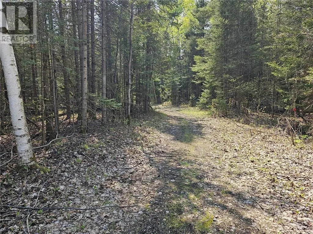 Lot 49 Sandy Point Road
