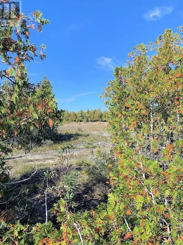 356 Cedar Tree Trail
