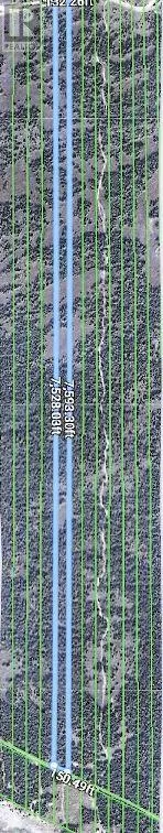 356 Cedar Tree Trail