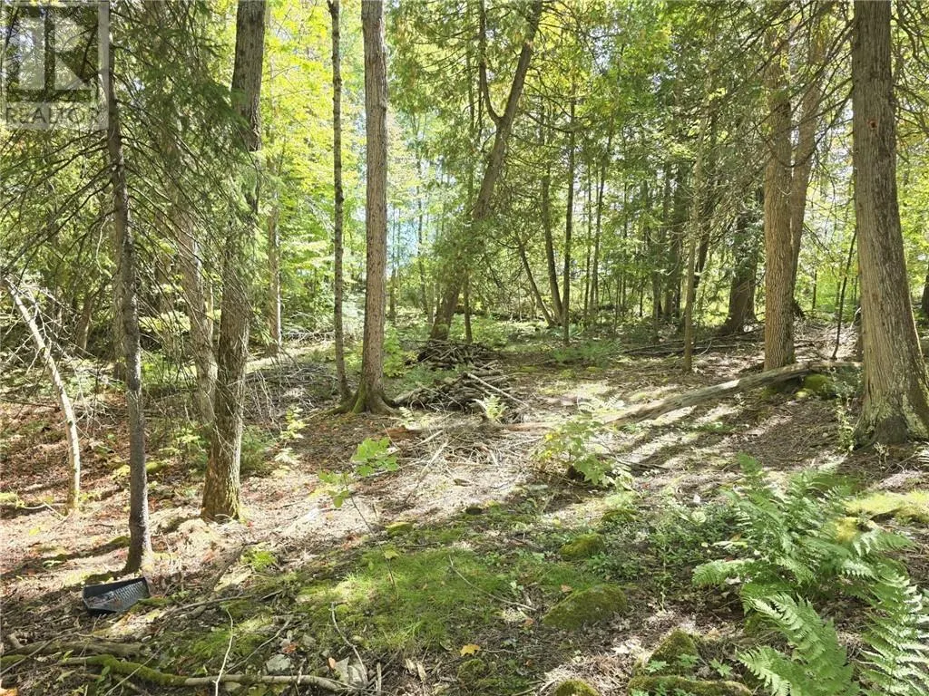950 Monument Rd