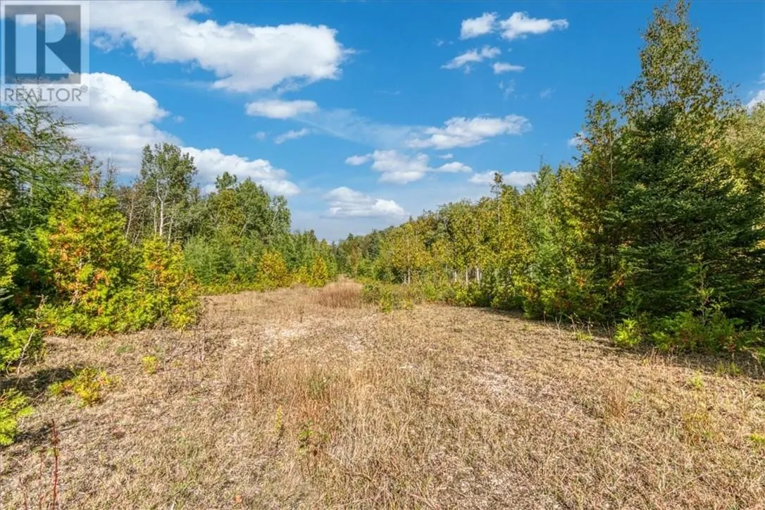 L11 C7 Concession Road 6 W