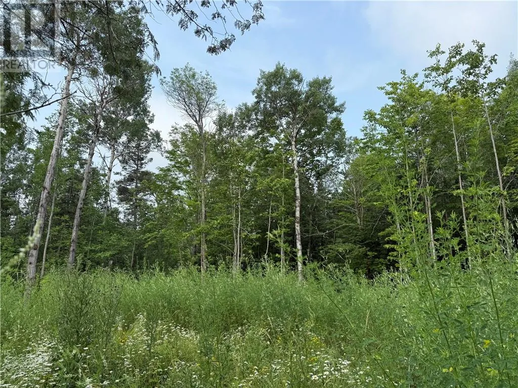 Lot 20 High Falls Road