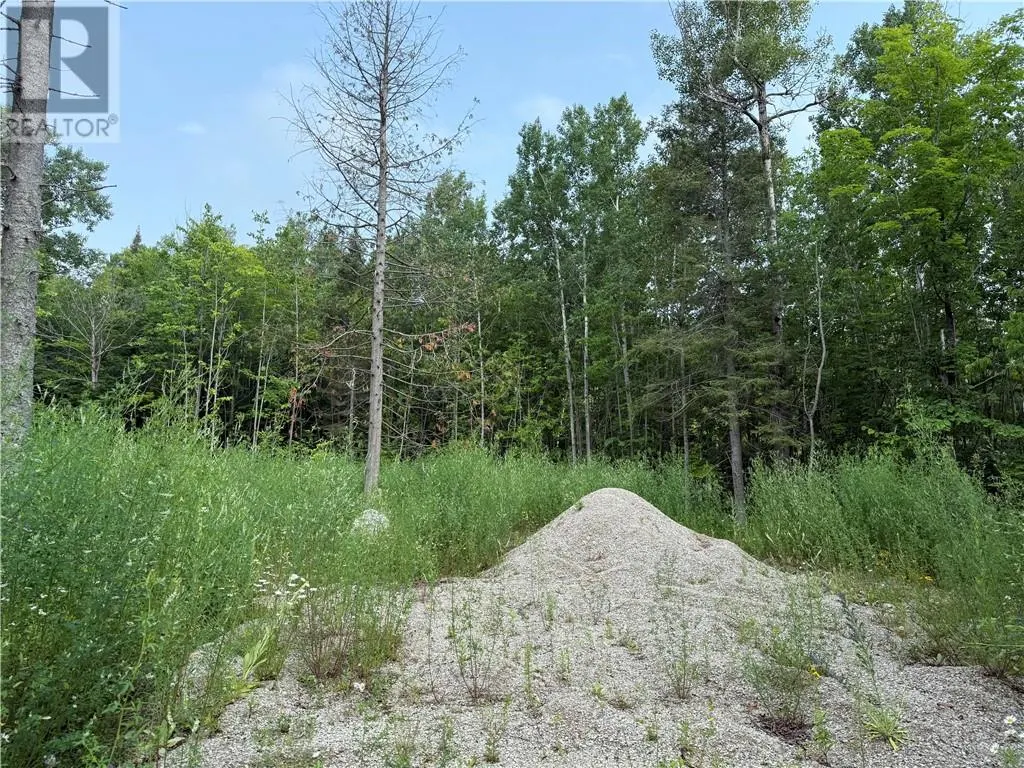 Lot 20 High Falls Road