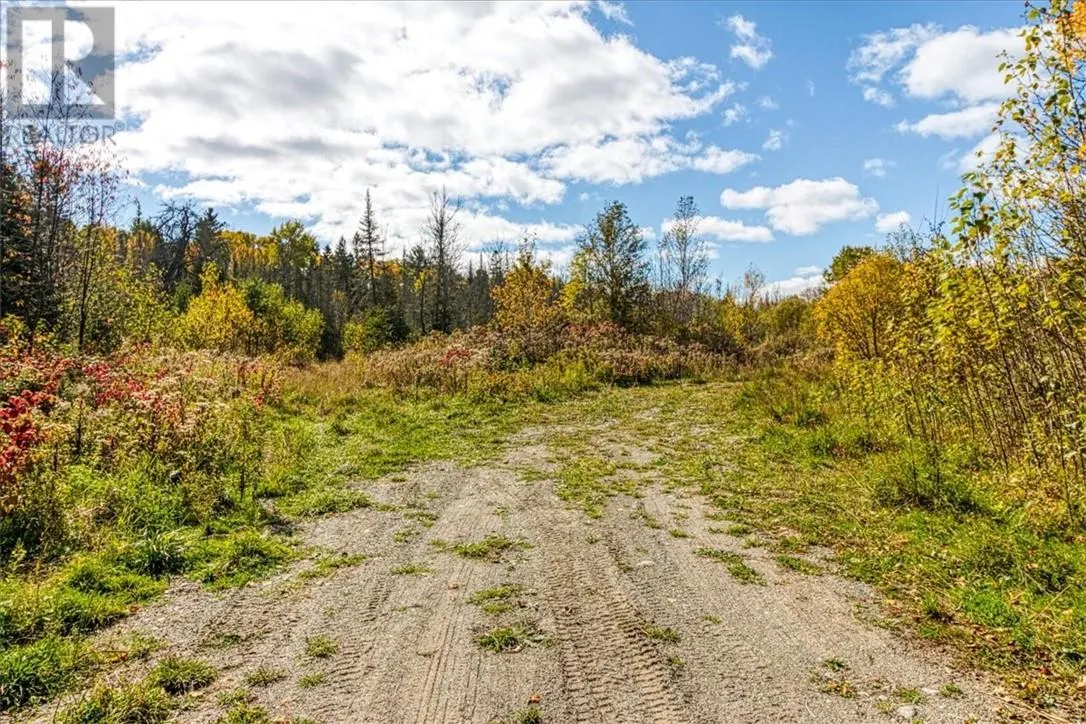 Lot 1 Leonard Avenue S