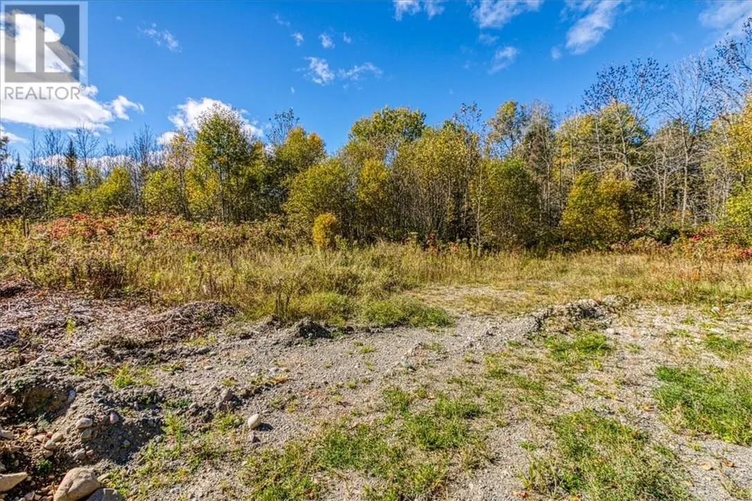 Lot 1 Leonard Avenue S