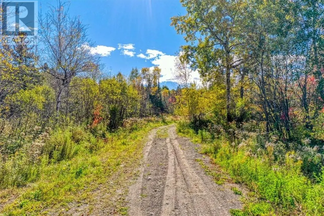 Lot 1 Leonard Avenue S
