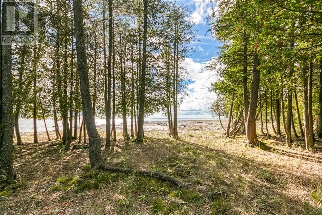 412 Cedar Tree Trail