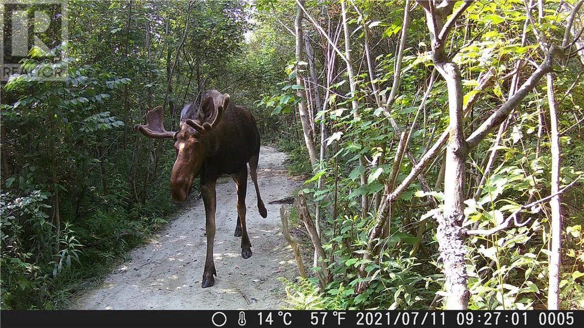 Lot 0 Whitewater