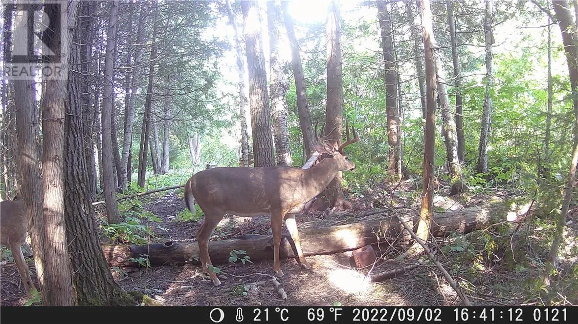 Lot 0 Whitewater