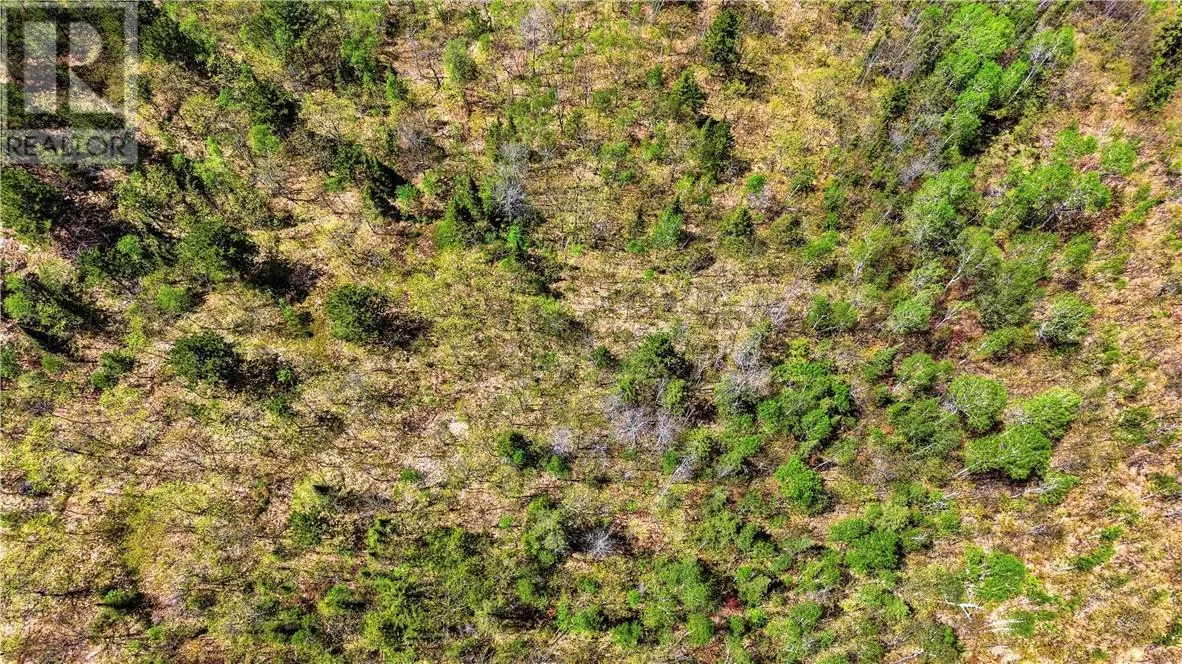 Lot 1 Makada Road