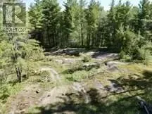339 Dry Pine Road