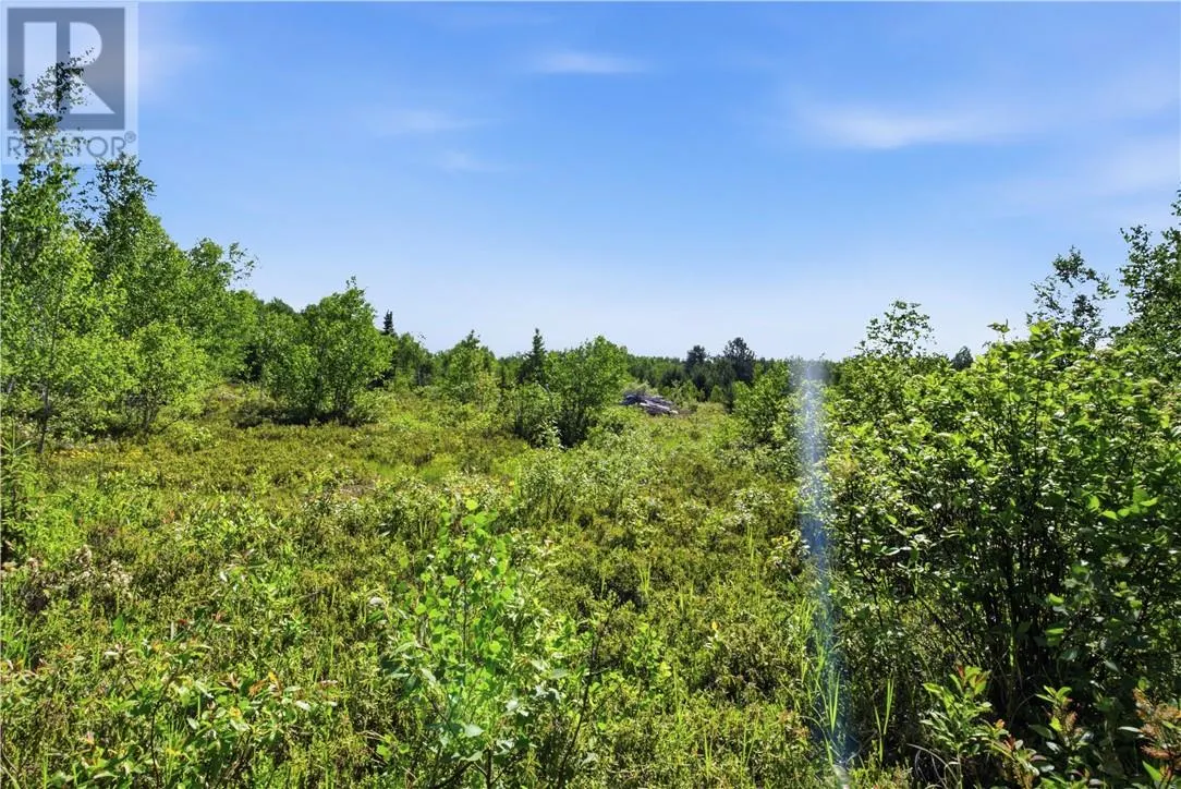 0 Forestview Court