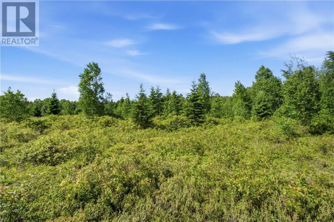 0 Forestview Court