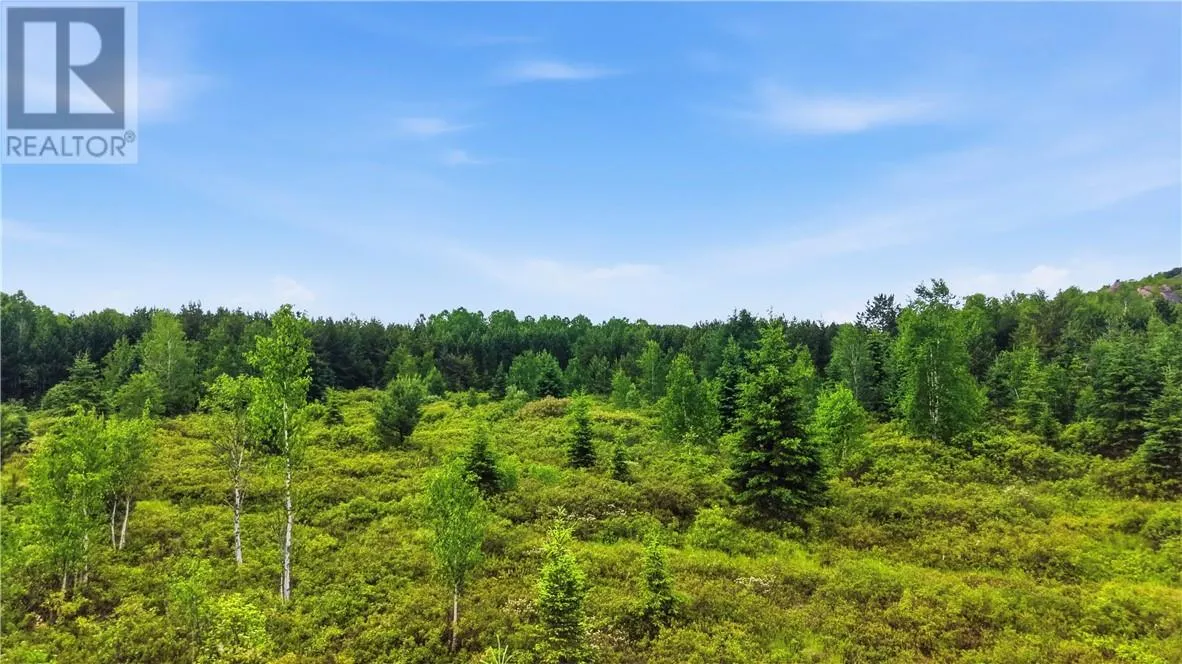 0 Forestview Court