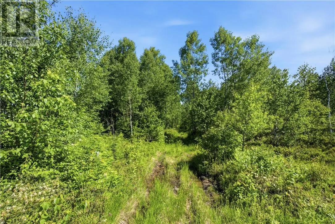 0 Forestview Court