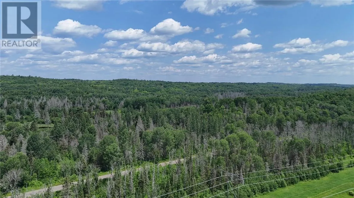 PCL 10646 BIRCH LAKE RD
