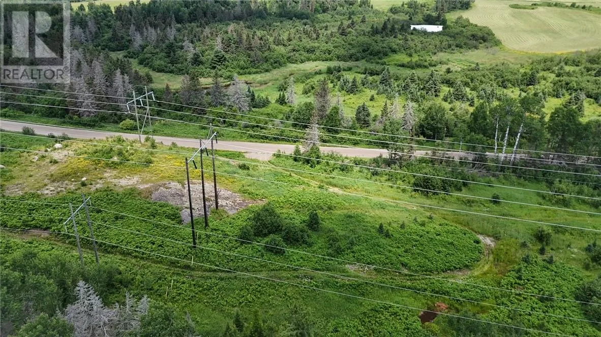 PCL 10646 BIRCH LAKE RD