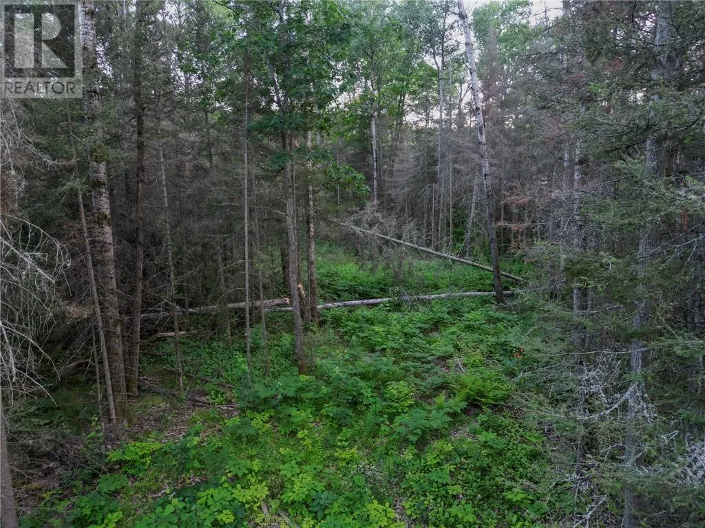 382 Old Webbwood Road Unit# Lot 1