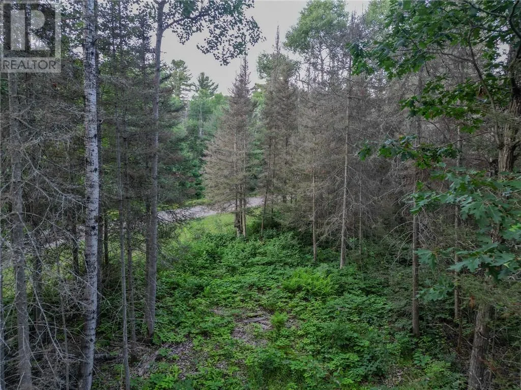 382 Old Webbwood Road Unit# Lot 1