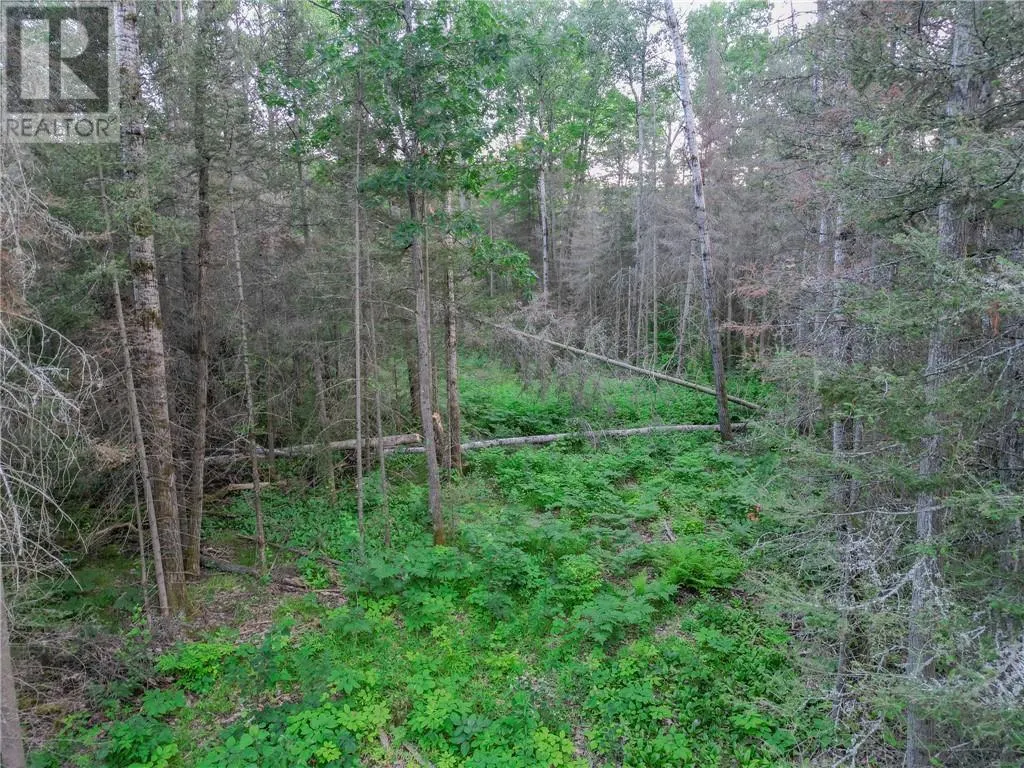 382 Old Webbwood Road Unit# Lot 1