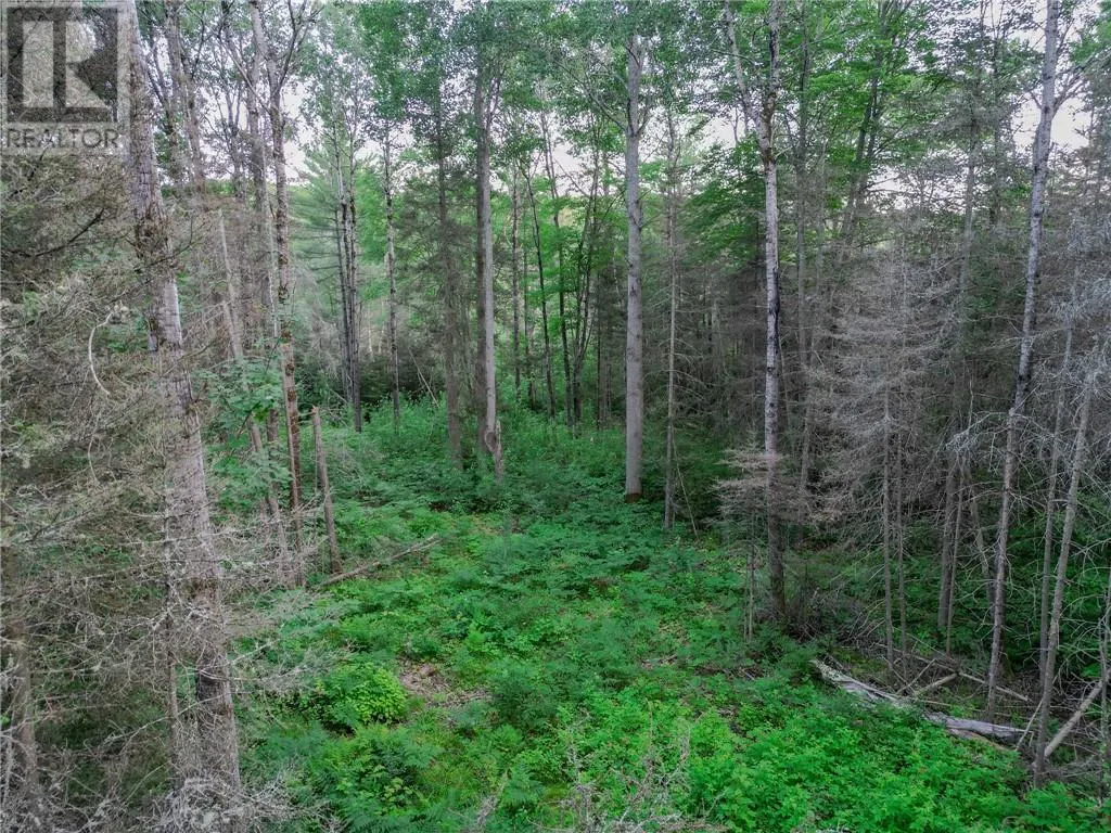 382 Old Webbwood Road Unit# Lot 1