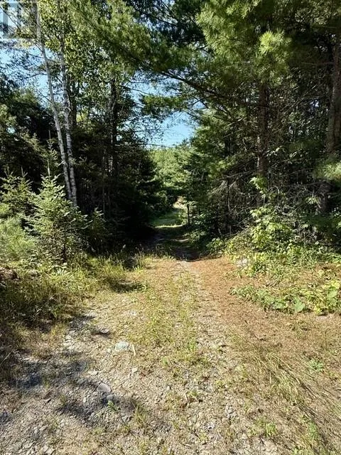 N/A Hwy 17/Beckerton Shooting Range Rd