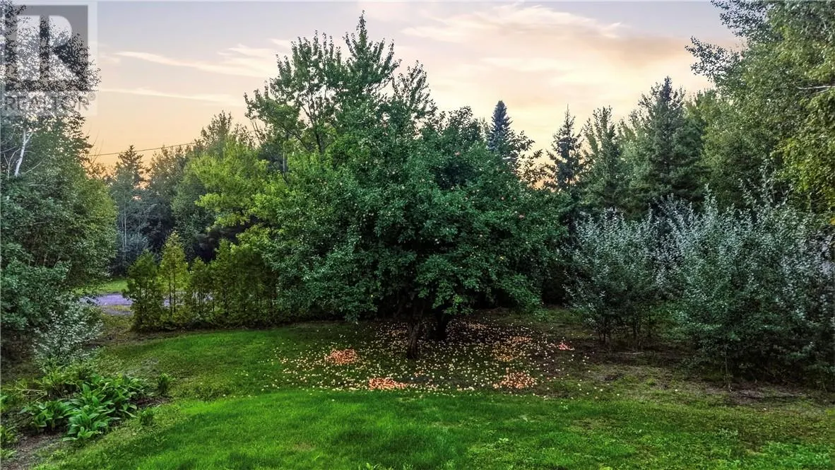 2124 Salo Road