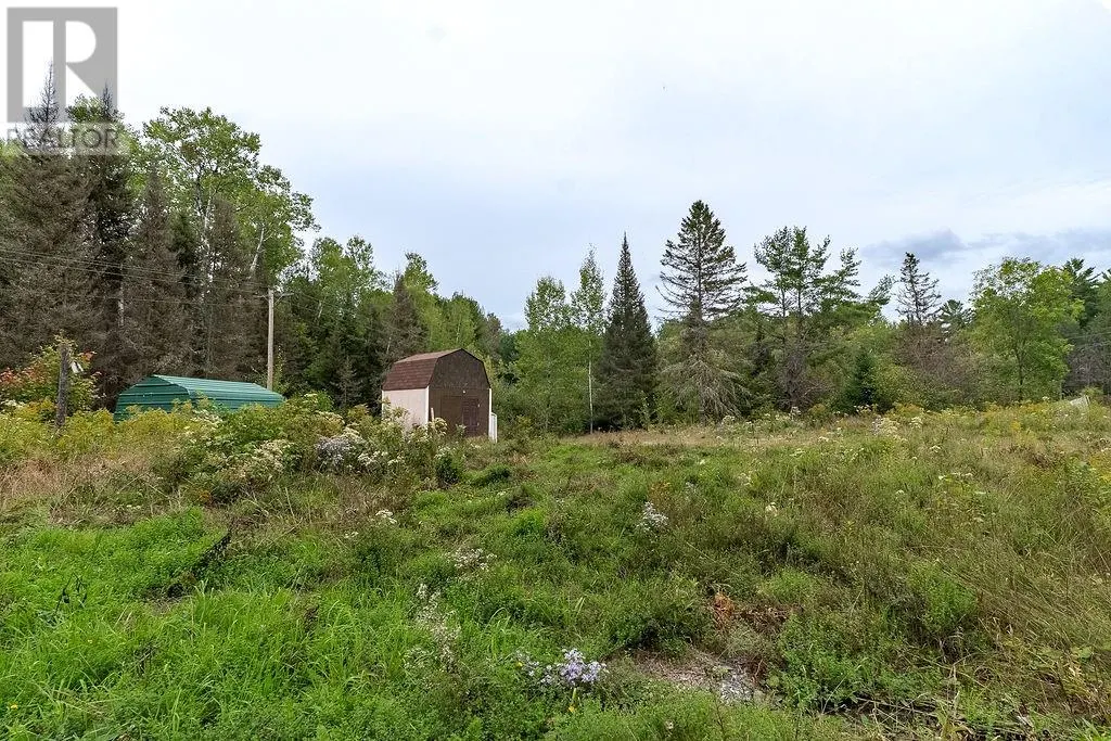 556 Lorne Falls