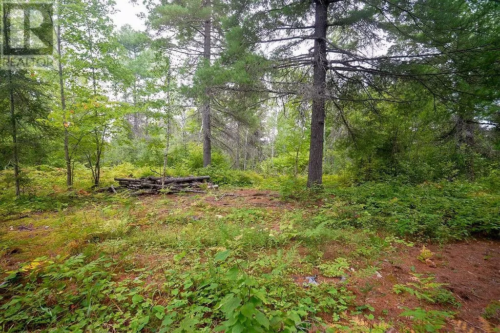 556 Lorne Falls