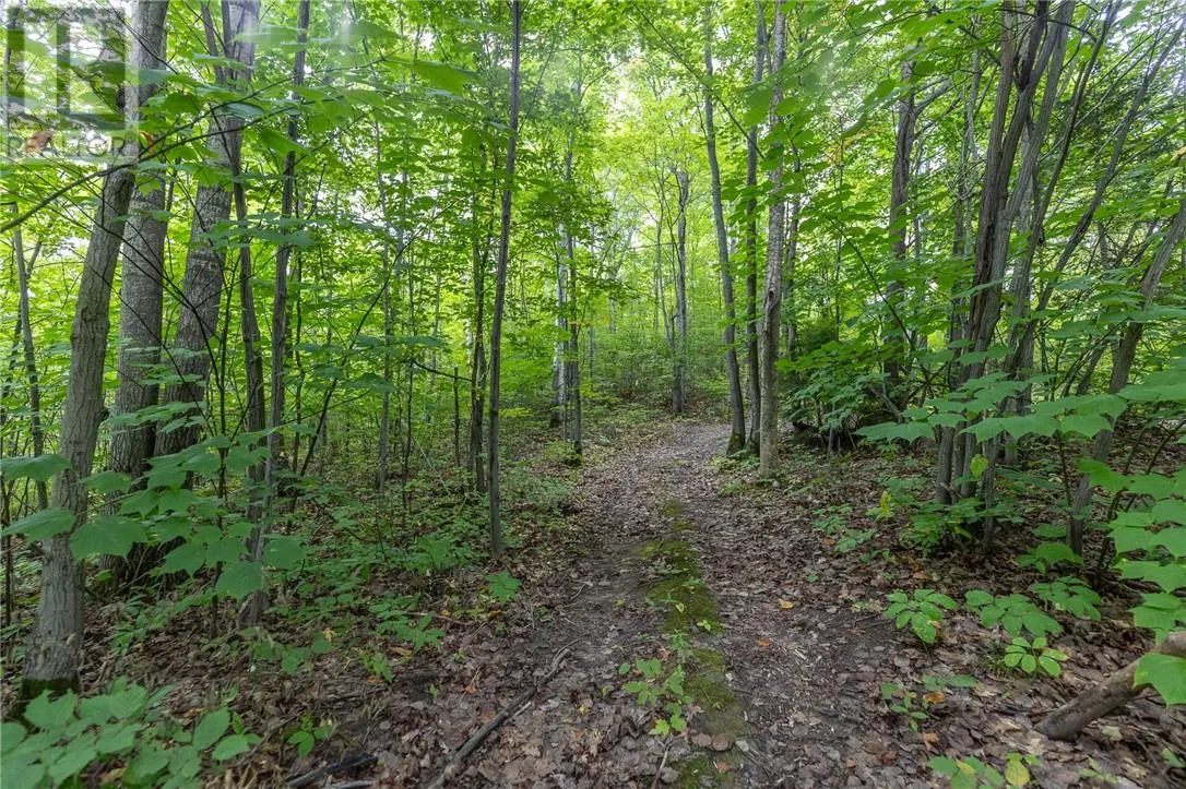 1500 Bass Lake Road
