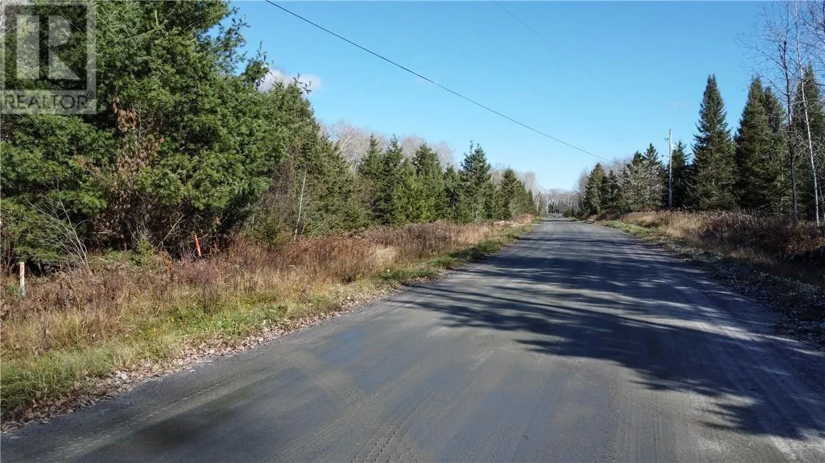 Part 1 Hungarian Road