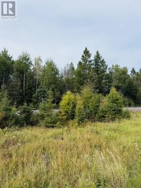 PT LOT 8 PCL 14599A Highway 17 East