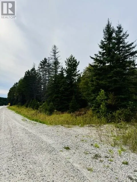 PT LOT 8 PCL 14599A Highway 17 East