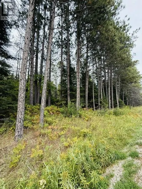 PT LOT 8 PCL 14599A Highway 17 East