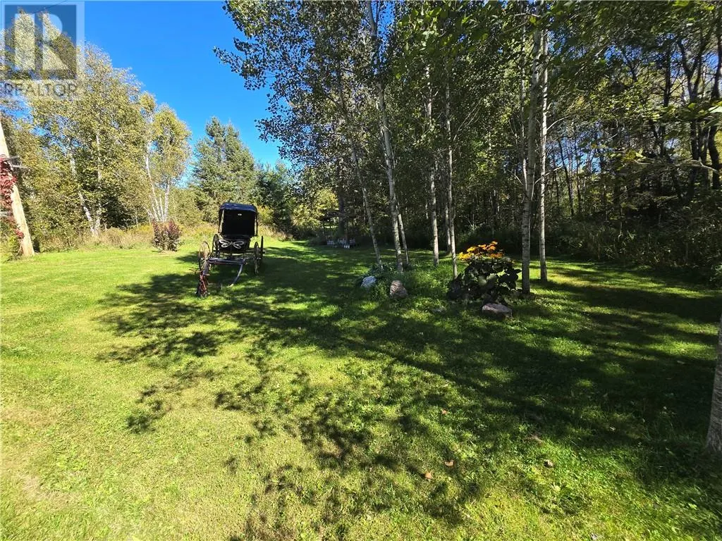 896 RED DEER LAKE ROAD N