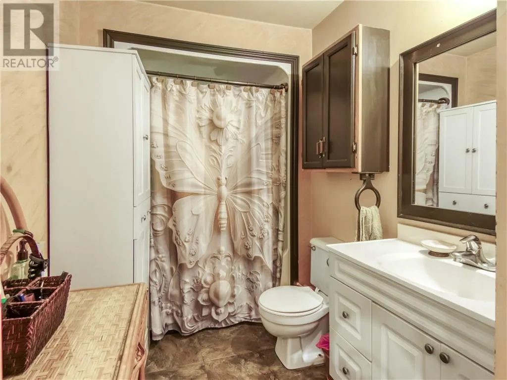 896 RED DEER LAKE ROAD N