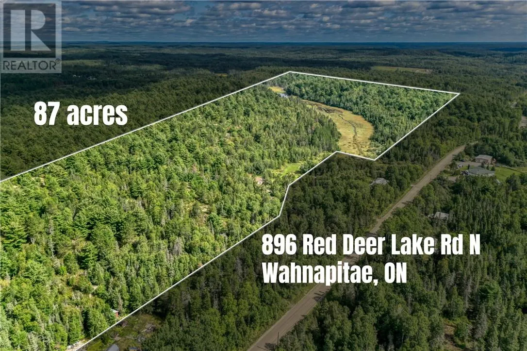 896 RED DEER LAKE ROAD N