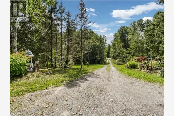 896 RED DEER LAKE ROAD N