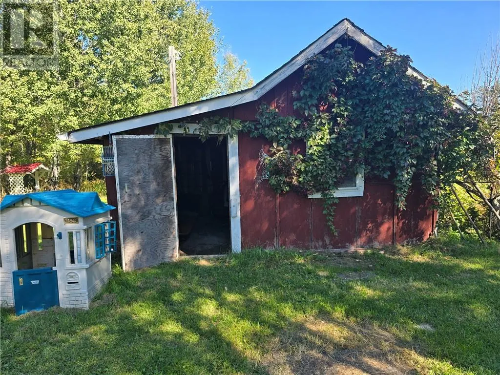 896 RED DEER LAKE ROAD N
