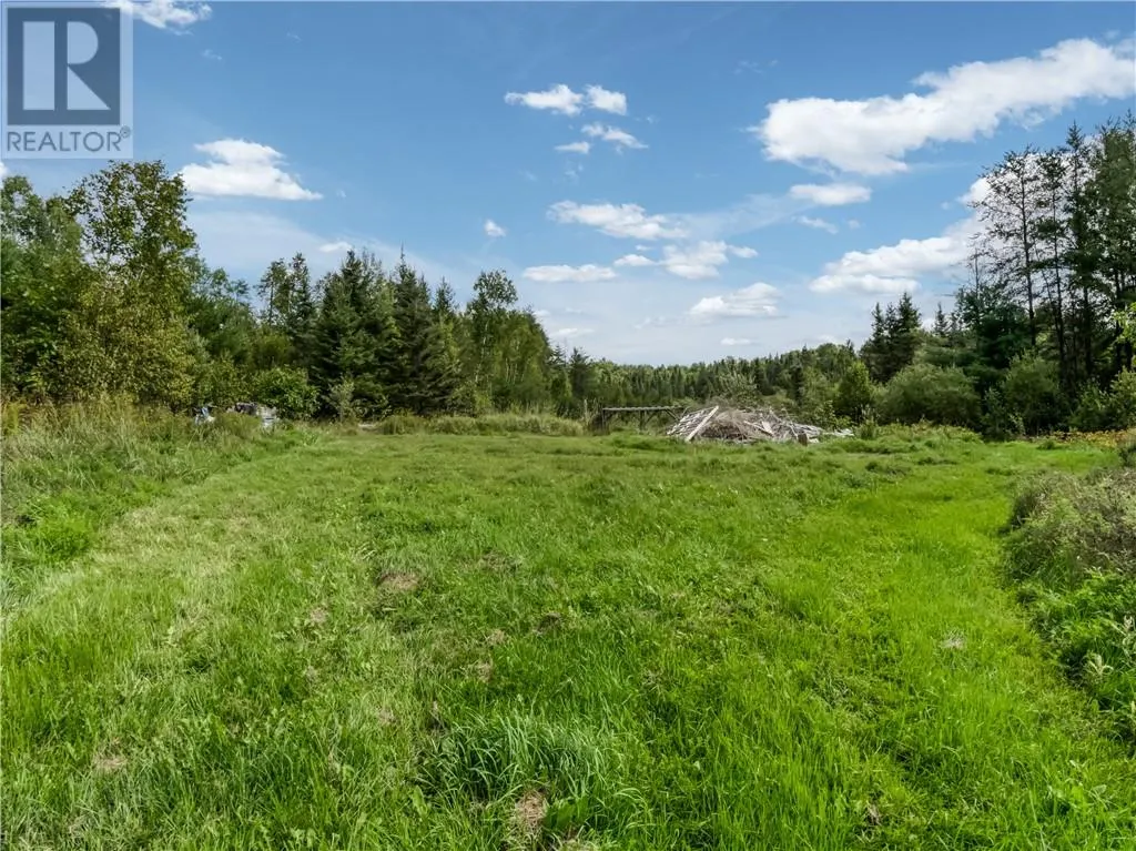 896 RED DEER LAKE ROAD N