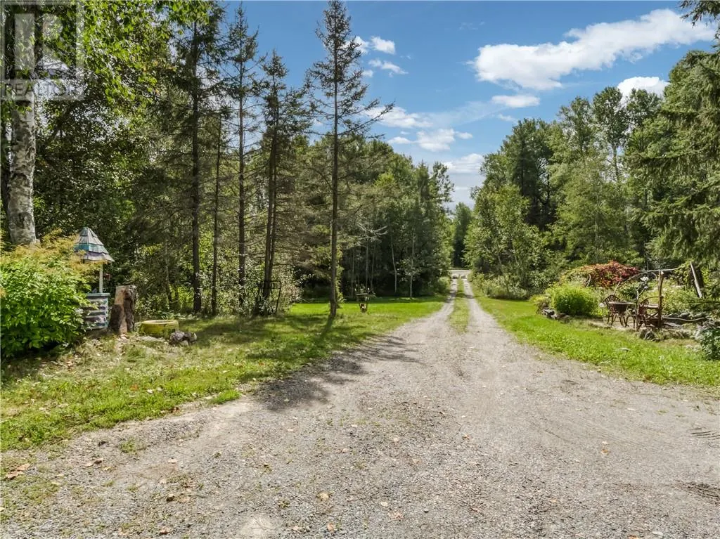 896 RED DEER LAKE ROAD N