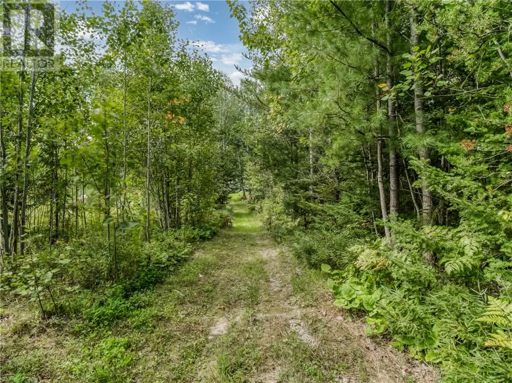 896 RED DEER LAKE ROAD N